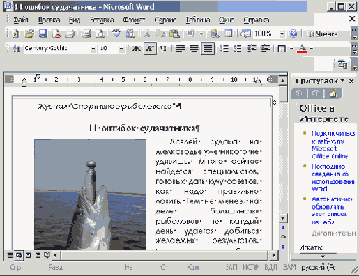   Microsoft Office 2003
