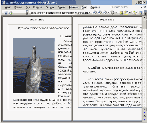   Microsoft Office 2003

