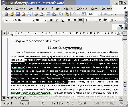   Microsoft Office 2003
