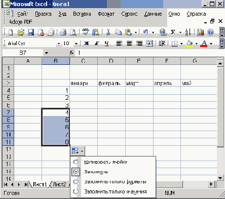   Microsoft Office 2003
