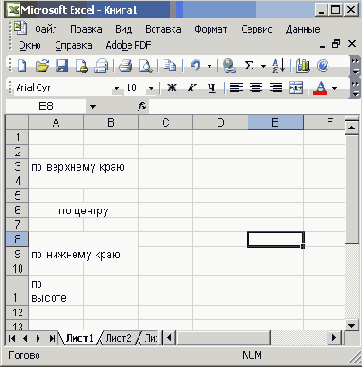   Microsoft Office 2003

