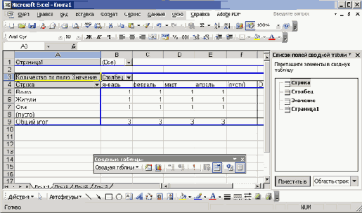   Microsoft Office 2003
