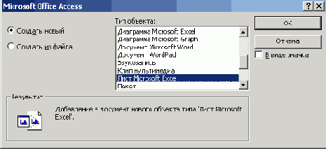   Microsoft Office 2003
