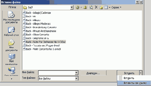   Microsoft Office 2003
