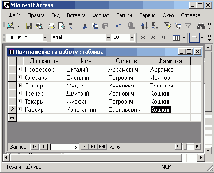   Office XP
