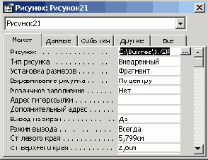   Office XP
