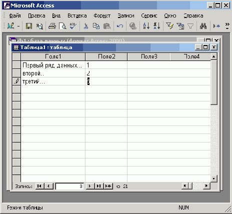   Office XP
