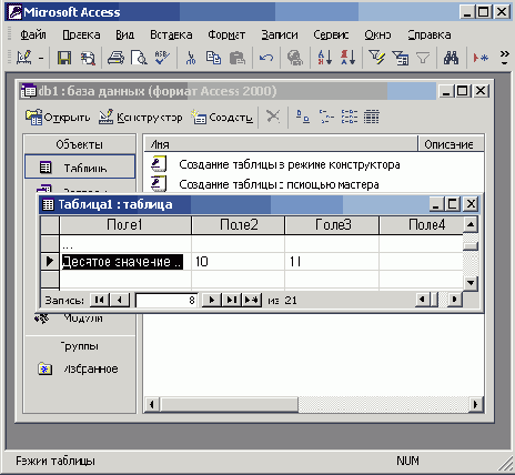   Office XP
