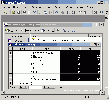   Office XP
