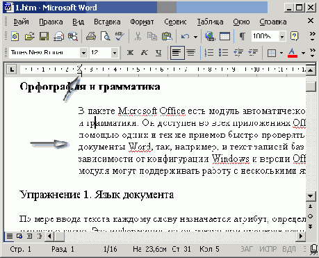   Office XP
