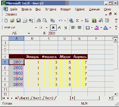   Office XP
