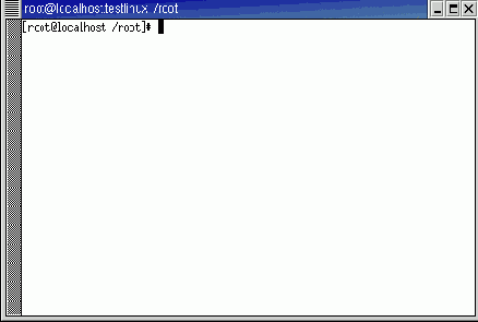 
 
xterm
